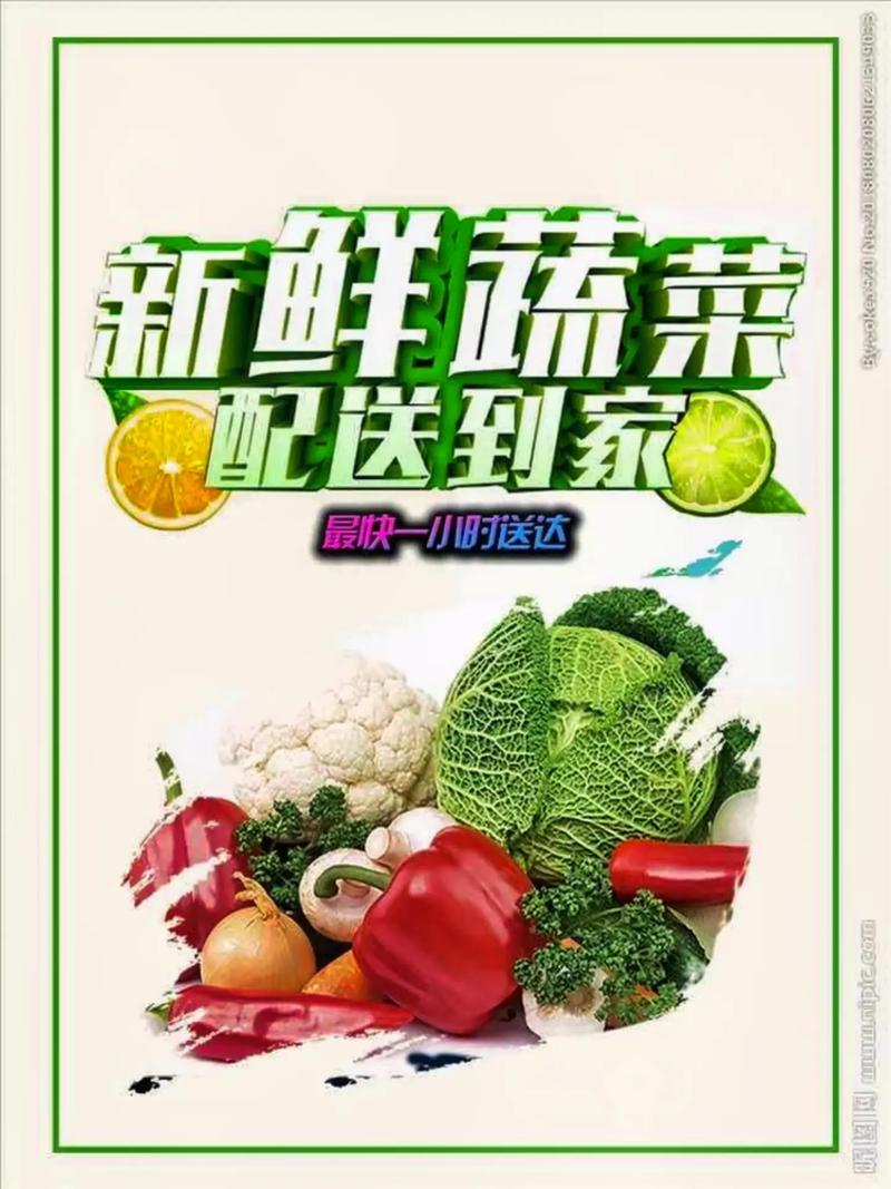 專業(yè)蔬菜批發(fā)配送服務(wù) 為工廠、學(xué)校、醫(yī)院食堂提供新鮮保障